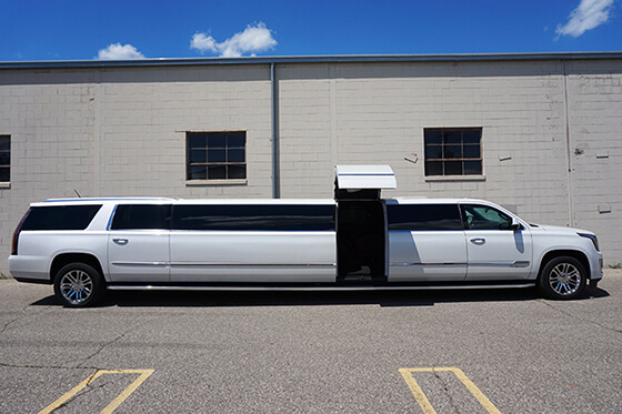 limousine service model